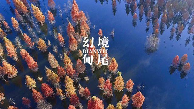 1264怎么分解质因数？游戏画面