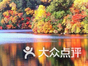 逃离冰淇淋世界