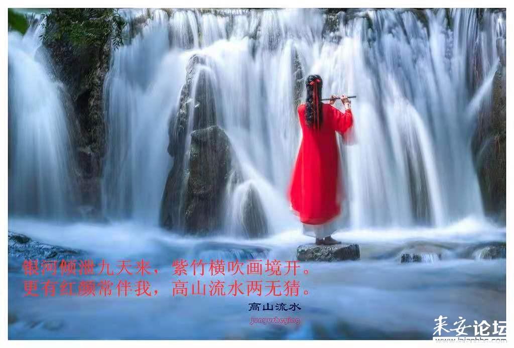 重生之玫瑰豪门